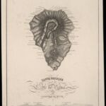 Carte physique d'Ile de Palma par Leopold de Buch (1824) - Buch, Leopold von, 1774-1853