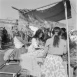 Imagen "Los Tarantos"